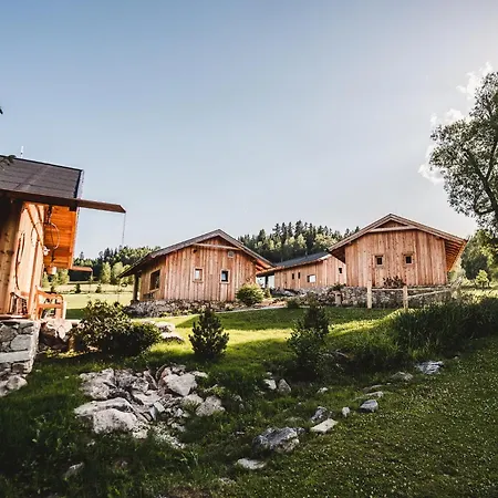 & Wellness Knizeci Cesta 4* Horní Planá