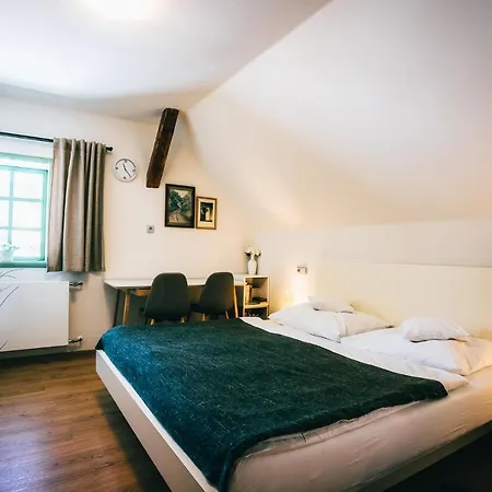 Aparthotel&wellness Knížecí Cesta 4* Horní Planá