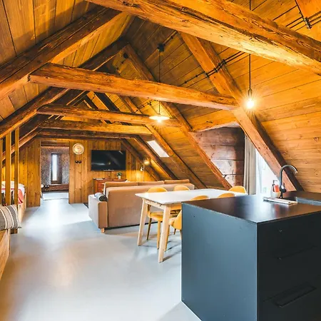 Aparthotel&wellness Knížecí Cesta 4* Horní Planá